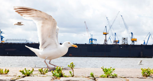 EVACO eröffnet neue Standorte News