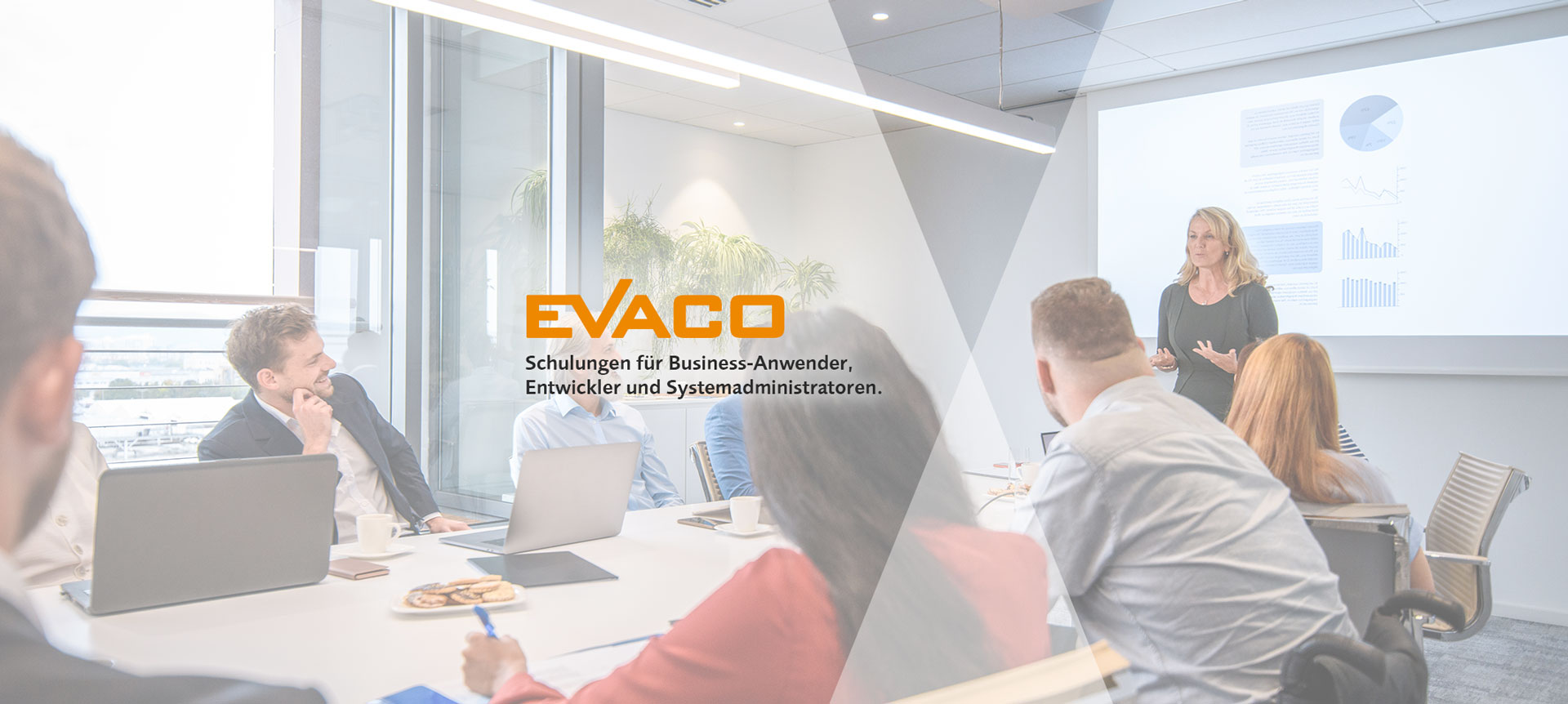 Business Intelligence Trainings von EVACO