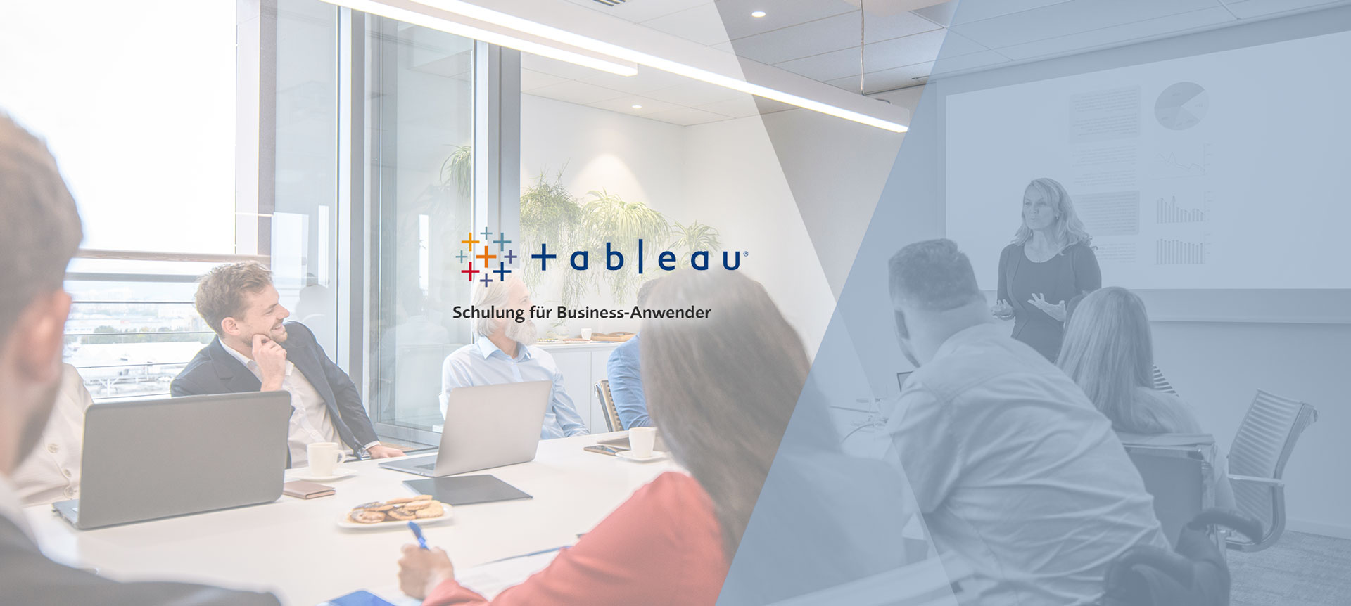 Tableau Training Header