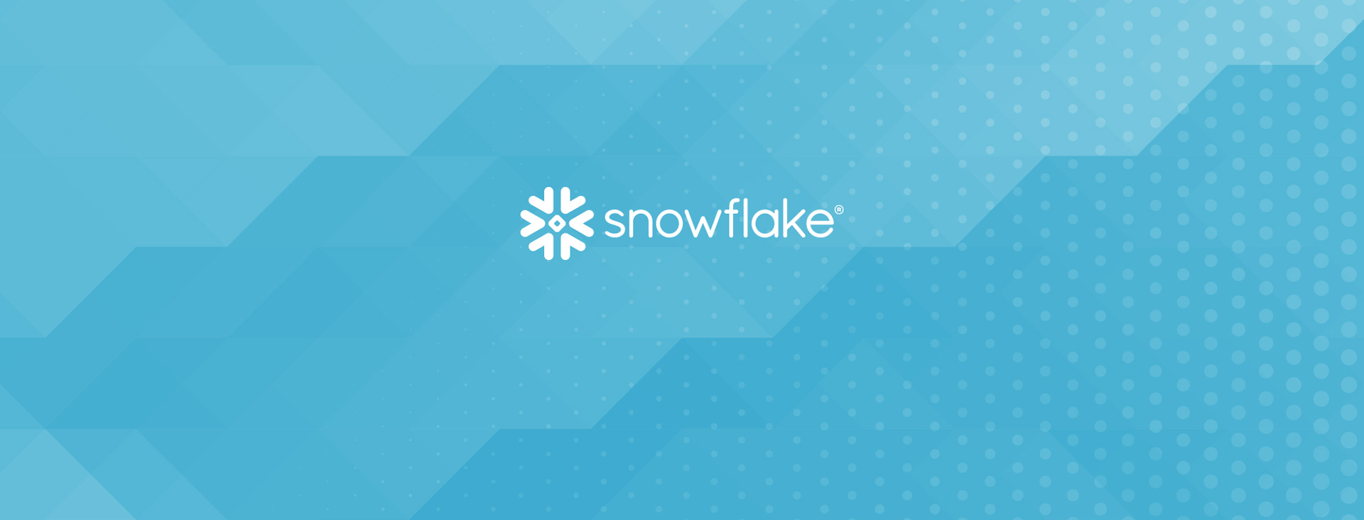 Snowflake Partner Header