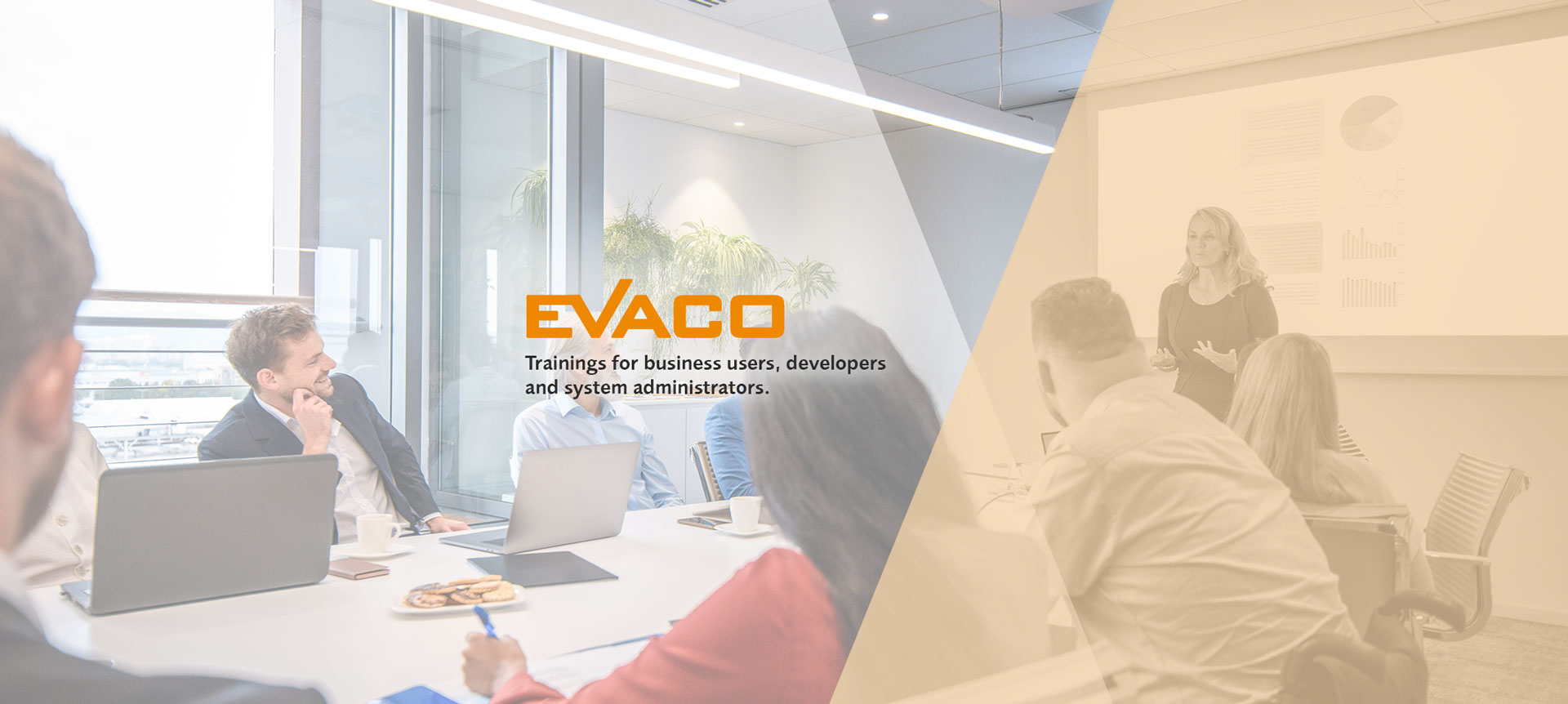 Business Intelligence Trainings from EVACO